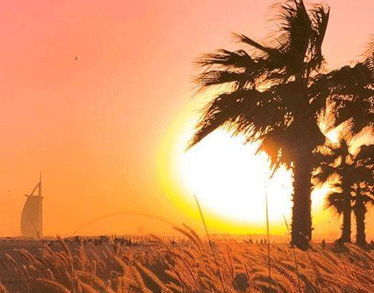 溫柔唯美的日落句子帶圖片 私奔嗎在太陽落山前7