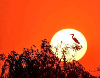 溫柔唯美的日落句子帶圖片 私奔嗎在太陽落山前15