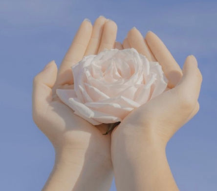 2021虐到極致的簡短朋友圈文案 拼命道歉的我像極了罪人2