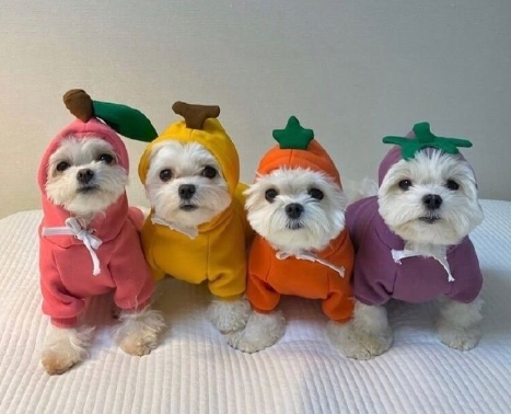 可以撩到男朋友的甜甜情話 撩到男生小鹿亂撞的情話1