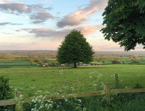 2021關(guān)于三月勵(lì)志朋友圈語(yǔ)錄 三月全新朋友圈勵(lì)志文案2