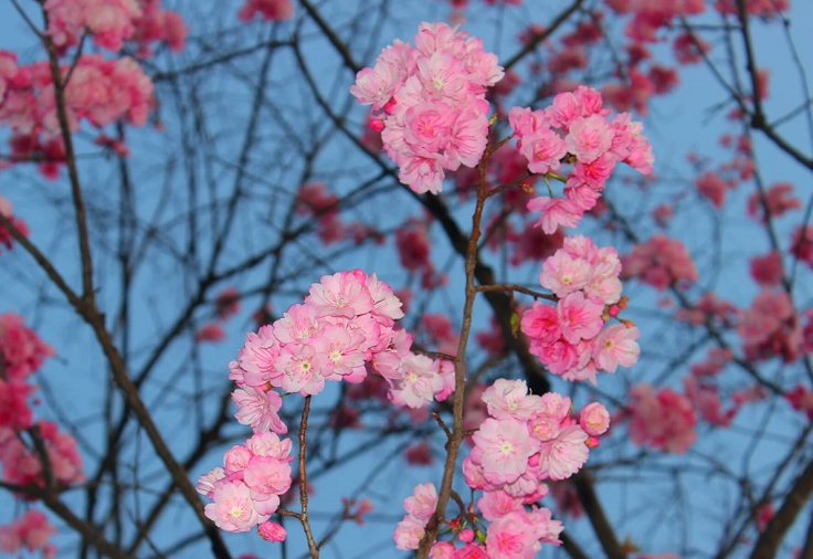  二月最后一天的感概說(shuō)說(shuō) 三月第一天的好聽(tīng)朋友圈說(shuō)說(shuō)1