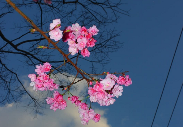  二月最后一天的感概說(shuō)說(shuō) 三月第一天的好聽(tīng)朋友圈說(shuō)說(shuō)2