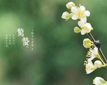 2021驚蟄節(jié)氣微信簡(jiǎn)短祝福語(yǔ)說(shuō)說(shuō) 驚蟄節(jié)氣的心情說(shuō)說(shuō)大全2
