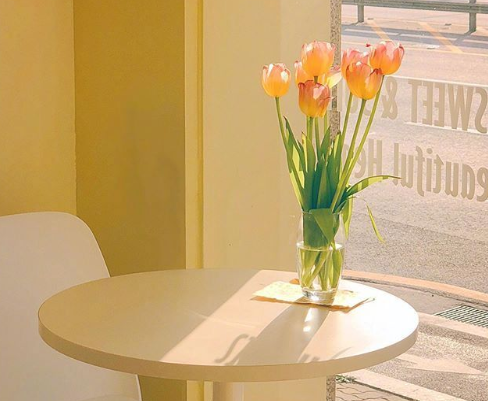 2021春天觀賞櫻花的心情說說 三月看櫻花的優(yōu)美文案2