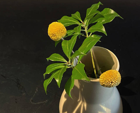 2021高冷而又隨性的句子 很灑脫淡然的朋友圈文案2