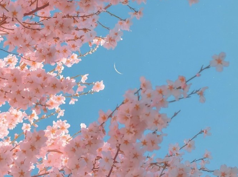 2021很走心的干凈短句 朋友圈高質量吸引人的短句1