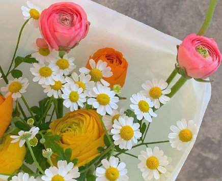 表達(dá)對對方一見傾心的文案帶圖片 煙花轉(zhuǎn)瞬即逝灰燼倒是永恒11