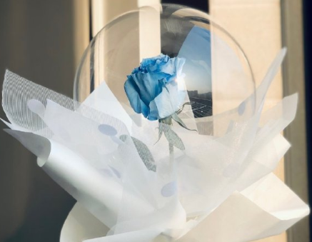 表達(dá)對對方一見傾心的文案帶圖片 煙花轉(zhuǎn)瞬即逝灰燼倒是永恒12