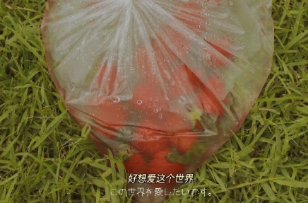 表達(dá)對對方一見傾心的文案帶圖片 煙花轉(zhuǎn)瞬即逝灰燼倒是永恒15