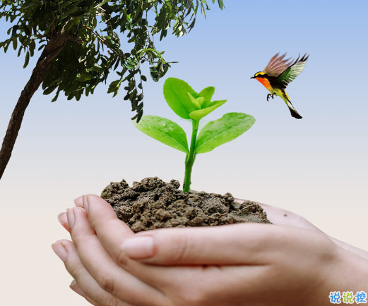 植樹節(jié)說(shuō)說(shuō)心情短語(yǔ)2021 植樹節(jié)好聽的朋友圈說(shuō)說(shuō)大全1