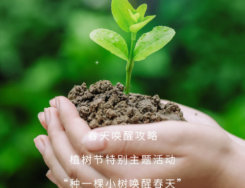 植樹節(jié)說(shuō)說(shuō)心情短語(yǔ)2021 植樹節(jié)好聽的朋友圈說(shuō)說(shuō)大全2