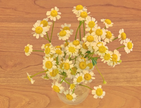 2021全新拍一拍有趣后綴文字搞笑 很有意思的微信拍一拍后綴句子1