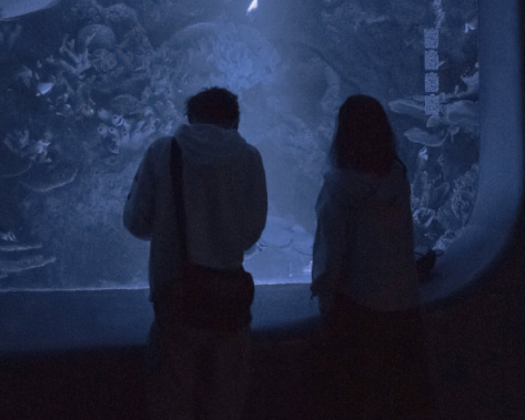 最浪漫的關(guān)于愛情微信狀態(tài)文案 微信狀態(tài)高級含蓄秀恩愛的文案1