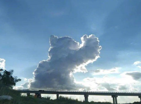 表達自己再也不碰感情的傷感說說大全 付出感情后心痛的句子1