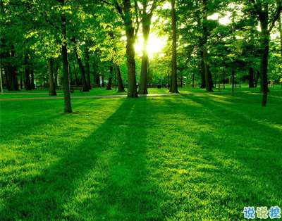 植樹節(jié)的簡(jiǎn)短文字手抄報(bào)文案配圖 2021微信植樹節(jié)說說帶圖片1