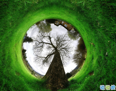 植樹節(jié)的簡(jiǎn)短文字手抄報(bào)文案配圖 2021微信植樹節(jié)說說帶圖片3