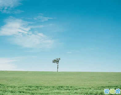 植樹節(jié)的簡(jiǎn)短文字手抄報(bào)文案配圖 2021微信植樹節(jié)說說帶圖片4