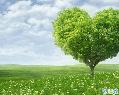 植樹節(jié)的簡(jiǎn)短文字手抄報(bào)文案配圖 2021微信植樹節(jié)說說帶圖片7