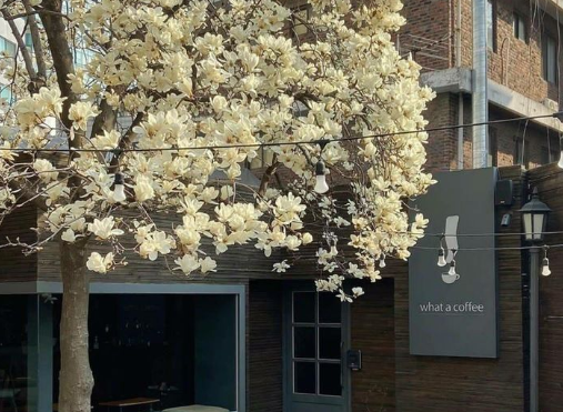 虐到心碎的扎心文案配圖 一秒淚崩的扎心句子帶圖片14