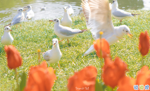 2021最新開心的句子說說心情朋友圈短句 很開心的朋友圈心情句子1