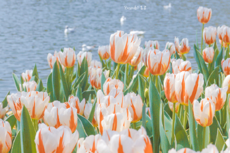 2021最新開心的句子說說心情朋友圈短句 很開心的朋友圈心情句子2