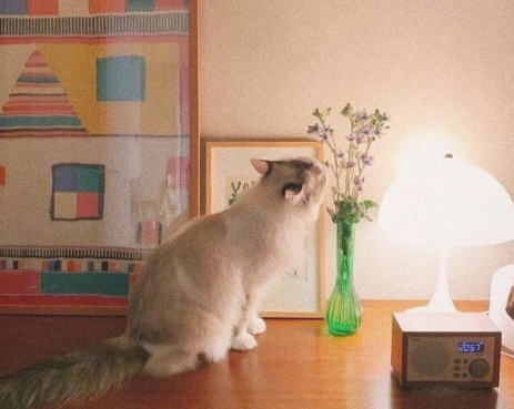 最新溫柔文案短句干凈配圖 溫柔到爆的神仙句子配圖4