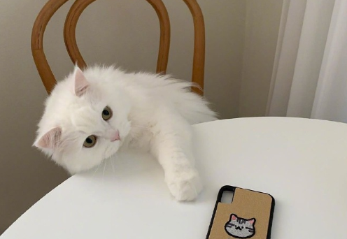 2021超級溫柔告別文案 溫柔又好聽的告別句子1