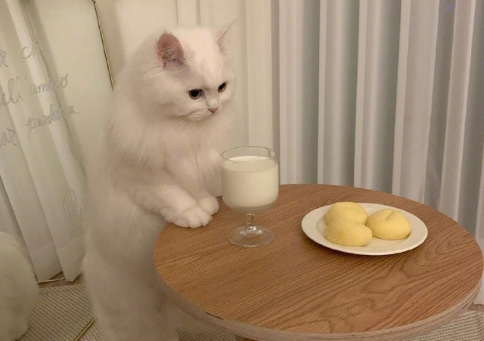 2021超級溫柔告別文案 溫柔又好聽的告別句子2