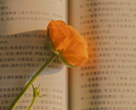 早上起床后發(fā)朋友圈的句子 舒心又很正能量的短句1