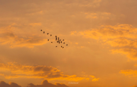 早上起床后發(fā)朋友圈的句子 舒心又很正能量的短句2