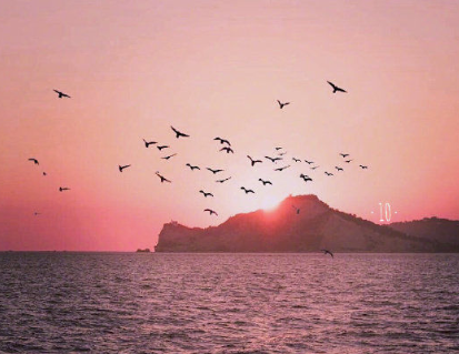 用姓氏公布戀情的短句 抖音很火姓氏表白的好聽短句2