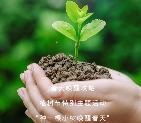 植樹(shù)節(jié)的土味情話大全 適合植樹(shù)節(jié)發(fā)的撩人句子2