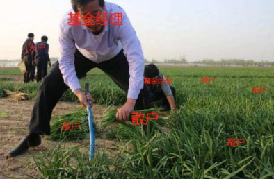 關(guān)于買基金的心情說說 買基金的幽默文案1