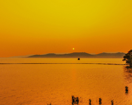 適合發(fā)晚霞的朋友圈文案 抖音很火的晚霞句子1