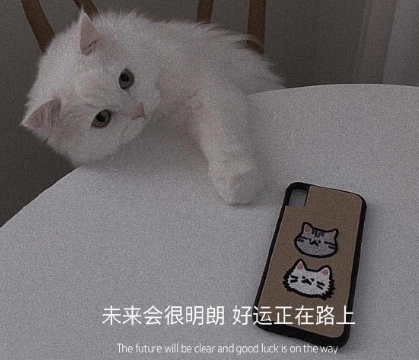 前任教會了你什么經(jīng)典語錄 前任教會你的道理2