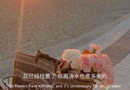 超級(jí)催淚的文案 煽情催淚的朋友圈句子2