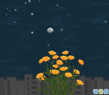 孤獨(dú)的時(shí)候適合發(fā)朋友圈的句子 內(nèi)心孤獨(dú)沒有人懂的句子3