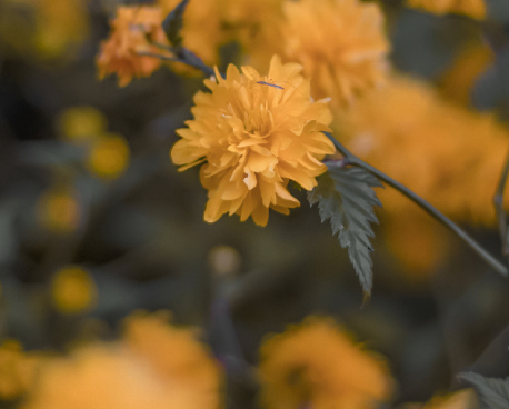 快手文案短句干凈簡(jiǎn)短 快手漲粉的熱門(mén)干凈文案1