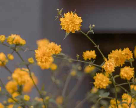 快手文案短句干凈簡(jiǎn)短 快手漲粉的熱門(mén)干凈文案2