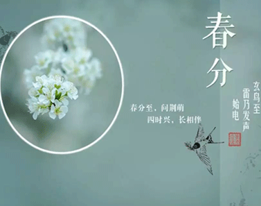 2021春分節(jié)氣的暖心祝福語(yǔ) 今日春分的朋友圈說(shuō)說(shuō)2