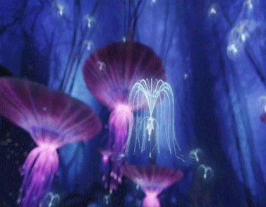 電影阿凡達(dá)經(jīng)典哲理臺詞帶圖片 電影阿凡達(dá)超級精辟的語錄7