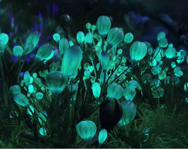 電影阿凡達(dá)經(jīng)典哲理臺詞帶圖片 電影阿凡達(dá)超級精辟的語錄10