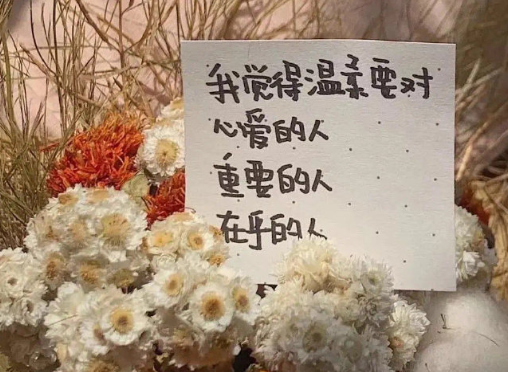 喪系的文案長句精辟2021 抖音喪系文案大全1