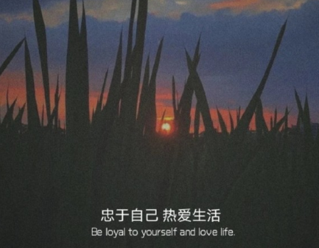 失眠時煩躁的心情說說 心情煩躁易怒崩潰想哭的句子2