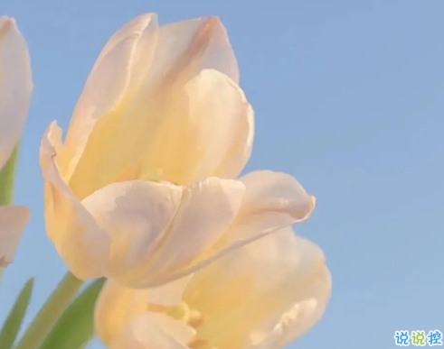 讓自己變得開(kāi)心的句子簡(jiǎn)短精辟 很有趣的開(kāi)心短句1