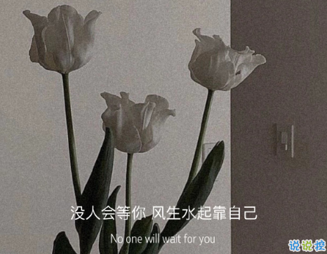 文藝到爆炸的神仙短句 知乎精選的文藝句子2