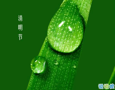 2021清明節(jié)思戀親人的說說 清明節(jié)追思親人的句子2