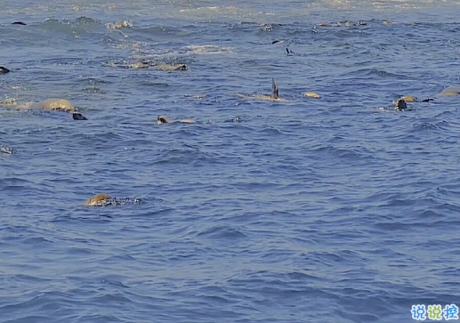 適合你所有情緒的短句 很精辟有道理的句子2