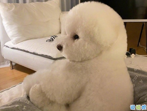 適合掛在微信狀態(tài)上的簡(jiǎn)短句子 適合微信狀態(tài)的簡(jiǎn)短文案1